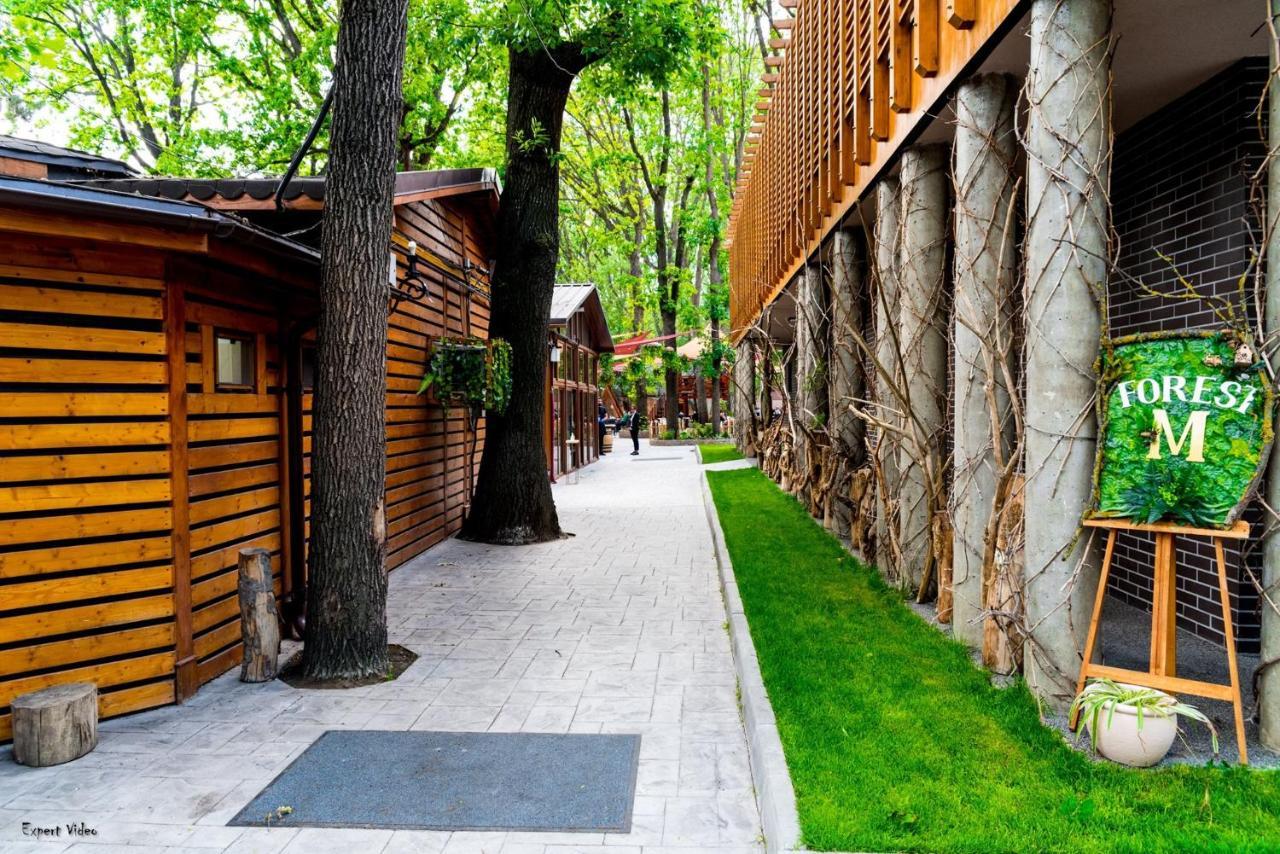 Forest M,Constanta Valu lui Traian Dış mekan fotoğraf